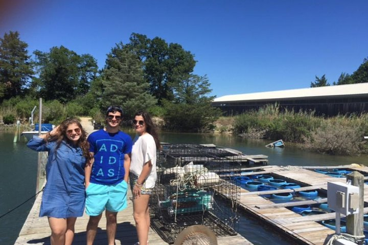 Oyster Farm Tour